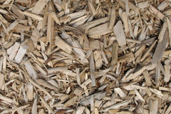 biomass boilers Clocaenog